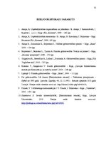 Prakses atskaite 'Prakses atskaite grāmatvedībā', 32.