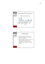 Prakses atskaite 'Prakses atskaite grāmatvedībā', 38.