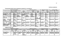 Prakses atskaite 'Prakses atskaite grāmatvedībā', 41.