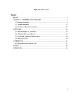 Referāts 'Profesionālās karjeras izpratne vispārizglītojošā mācību iestādē', 2.