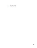 Referāts 'Profesionālās karjeras izpratne vispārizglītojošā mācību iestādē', 25.