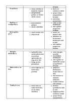 Referāts 'Tūrisms Latvijā', 17.