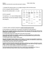 Konspekts 'DNS analīze', 2.