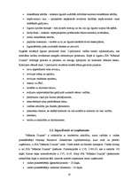 Diplomdarbs 'Audita process uzņēmumā SIA "Mākslas dizains"', 19.