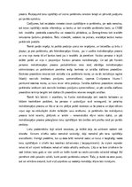 Eseja 'Pašvaldības policijas uzlikto sodu izpildes kontrole', 2.