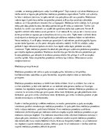 Referāts 'Mediācija', 5.