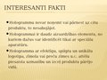 Prezentācija 'Halogrāfija', 13.