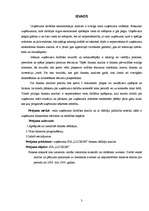 Prakses atskaite 'Uzņēmuma finansiālā stāvokļa analīze', 3.