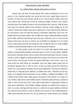 Eseja 'Es - līderis. Augsta statusa plusi un mīnusi', 1.