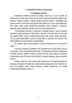 Referāts 'Pirmo kursu izglītojamo iekļaušanās profesionālajā vidusskolā', 5.