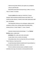 Konspekts 'Ideoloģijas', 3.