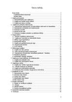 Biznesa plāns 'SIA "Moonspell"', 2.