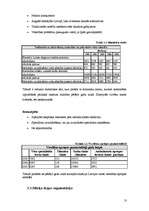 Biznesa plāns 'SIA "Moonspell"', 13.