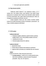 Biznesa plāns 'SIA "Moonspell"', 17.