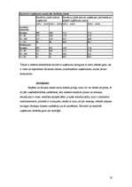 Biznesa plāns 'SIA "Moonspell"', 19.