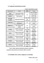 Biznesa plāns 'SIA "Moonspell"', 30.