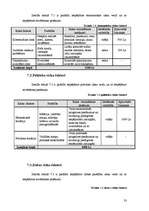 Biznesa plāns 'SIA "Moonspell"', 33.