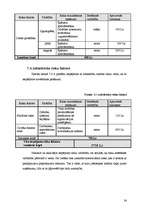 Biznesa plāns 'SIA "Moonspell"', 34.