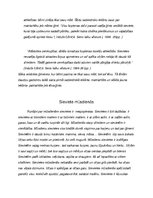 Referāts 'Sieviete aizvēsturē un mūsdienās. Kopīgais un atšķirīgais', 3.