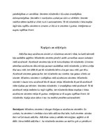 Referāts 'Sieviete aizvēsturē un mūsdienās. Kopīgais un atšķirīgais', 4.