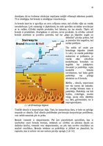 Referāts 'Zīmolveidība uzņēmumā "Lattelecom"', 9.