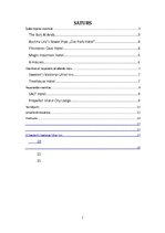 Referāts 'Neparastākās viesnīcas pasaulē', 2.