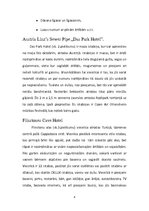 Referāts 'Neparastākās viesnīcas pasaulē', 4.