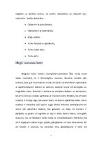 Referāts 'Neparastākās viesnīcas pasaulē', 5.