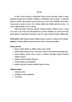 Referāts 'Madonas pilsētas vēlētāju līdzdalība Eiropas Parlamenta vēlēšanās', 5.