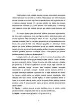 Referāts 'Sieviešu iepirkšanās paradumi dažādās vecuma grupās', 3.