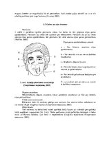 Konspekts 'Boksa treniņa drošības tehnikas noteikumi, iespējamās traumas un to profilakse', 4.