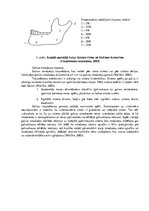 Konspekts 'Boksa treniņa drošības tehnikas noteikumi, iespējamās traumas un to profilakse', 5.