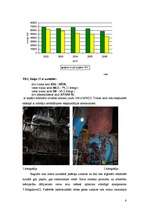 Referāts 'Ietekme uz vidi SIA „Liepājas enerģija"', 6.