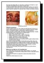 Referāts 'Difterija. Corynebacterium diphtherae', 5.