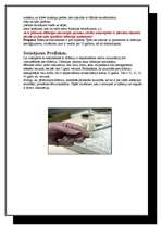 Referāts 'Difterija. Corynebacterium diphtherae', 6.