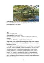 Referāts 'Ekskursijas maršruts "Jēkabpils parki"', 11.