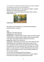 Referāts 'Ekskursijas maršruts "Jēkabpils parki"', 13.