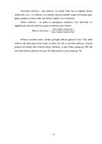 Konspekts 'Seminārs "Ekonomiskās cikliskās svārstības un makroekonomikas nestabilitāte"', 12.