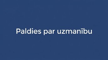 Prezentācija 'Iedzīvotāju ienākuma nodoklis (IIN) Latvijā 2026. gadā', 14.