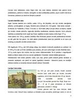 Referāts 'Rīgas interesantākie objekti', 4.