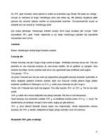 Referāts 'Rīgas interesantākie objekti', 10.