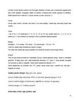 Referāts 'Rīgas interesantākie objekti', 18.