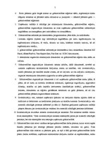 Prakses atskaite 'Grāmatvedības prakse uzņēmumā "Y"', 7.