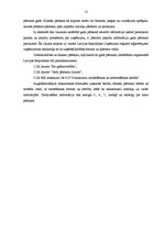 Prakses atskaite 'Grāmatvedības prakse uzņēmumā "Y"', 13.