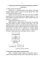 Prakses atskaite 'Grāmatvedības prakse uzņēmumā "Y"', 14.