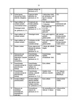 Prakses atskaite 'Grāmatvedības prakse uzņēmumā "Y"', 23.