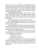 Prakses atskaite 'Grāmatvedības prakse uzņēmumā "Y"', 30.