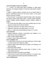 Prakses atskaite 'Grāmatvedības prakse uzņēmumā "Y"', 32.