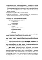 Prakses atskaite 'Grāmatvedības prakse uzņēmumā "Y"', 33.