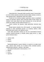 Referāts 'Grāmatvedības pamati: finanšu un vadības grāmatvedība', 4.